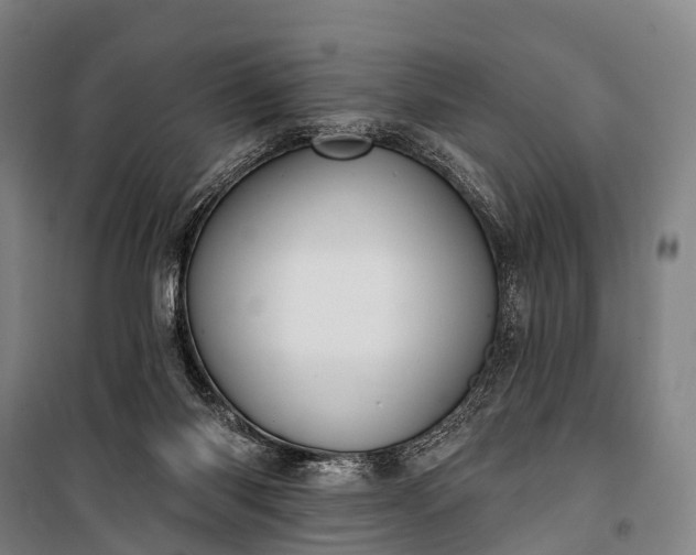 X0000101160118200807111038