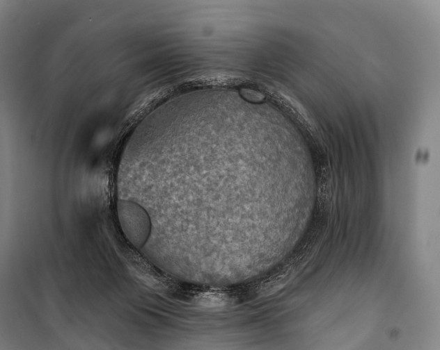 X0000101160119200807111038