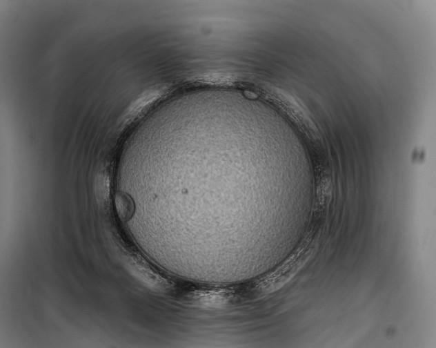 X0000101160120200807111038