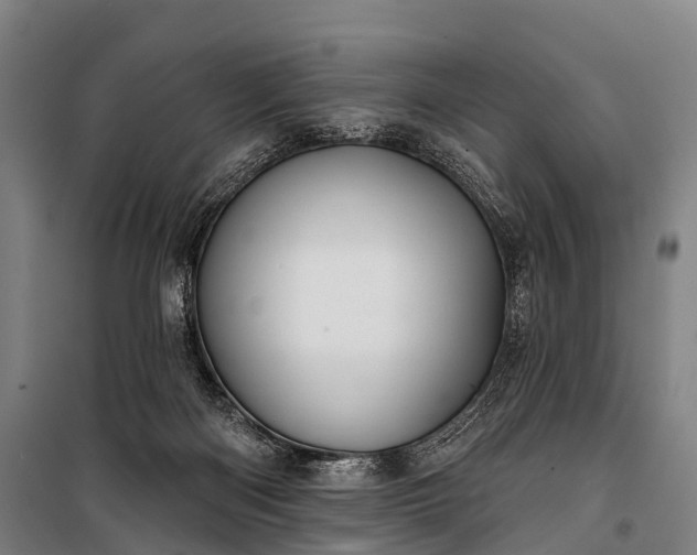 X0000101160122200807111038