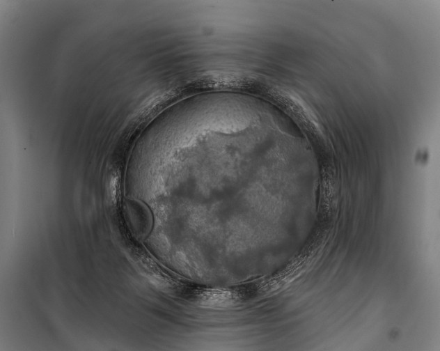 X0000101160123200807111038