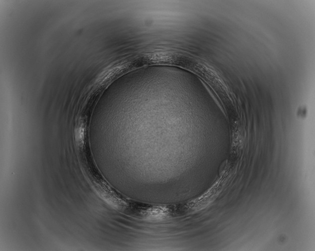 X0000101160124200807111038