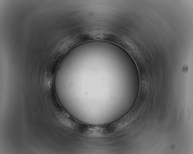 X0000101160125200807111038