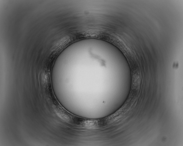 X0000101160126200807111038