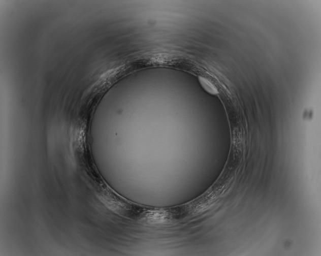 X0000101160127200807111038