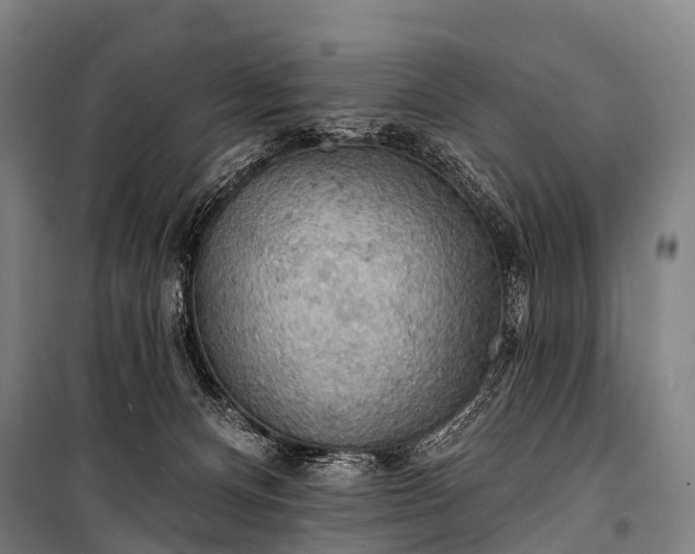 X0000101160128200807111038