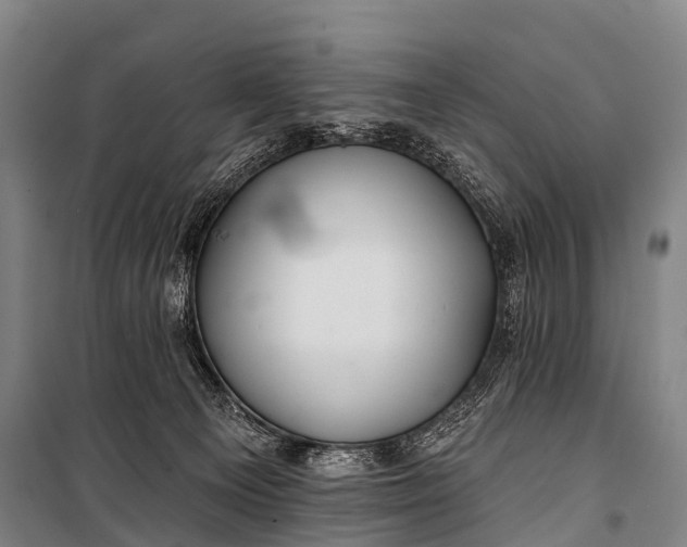 X0000101160129200807111038