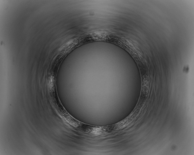 X0000101160130200807111037