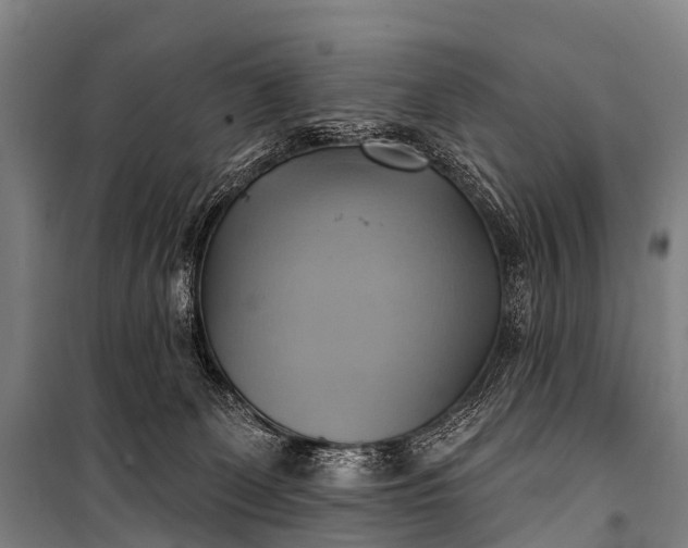 X0000101160131200807111037