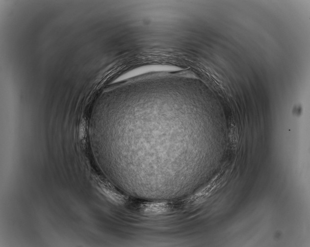 X0000101160132200807111037