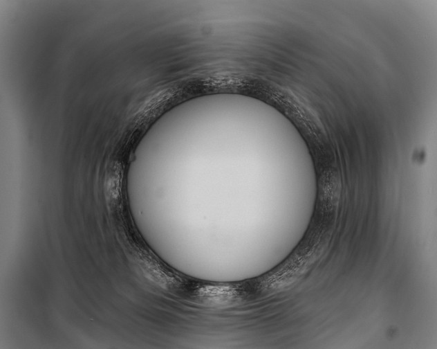 X0000101160133200807111037