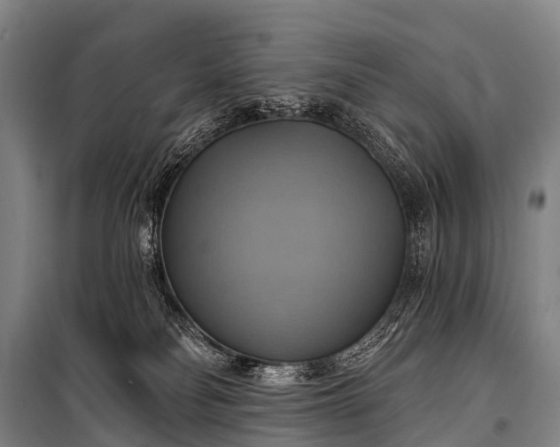 X0000101160134200807111037