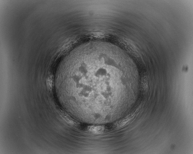 X0000101160135200807111037