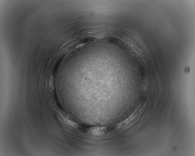 X0000101160136200807111037