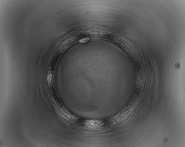 X0000101160137200807111037