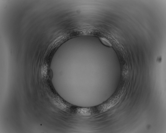 X0000101160139200807111037