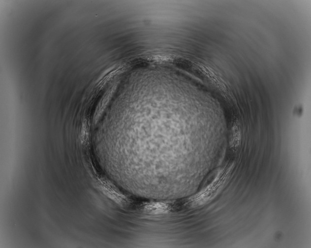 X0000101160140200807111037