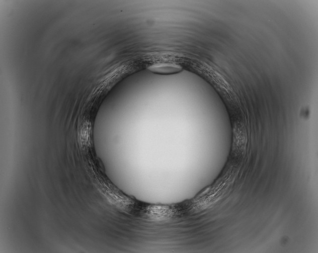 X0000101160141200807111037