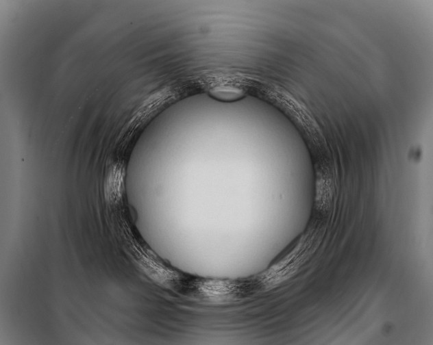 X0000101160142200807111037