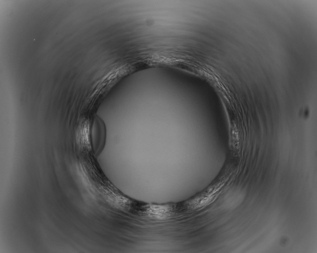 X0000101160143200807111037