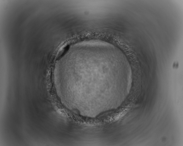 X0000101160144200807111037