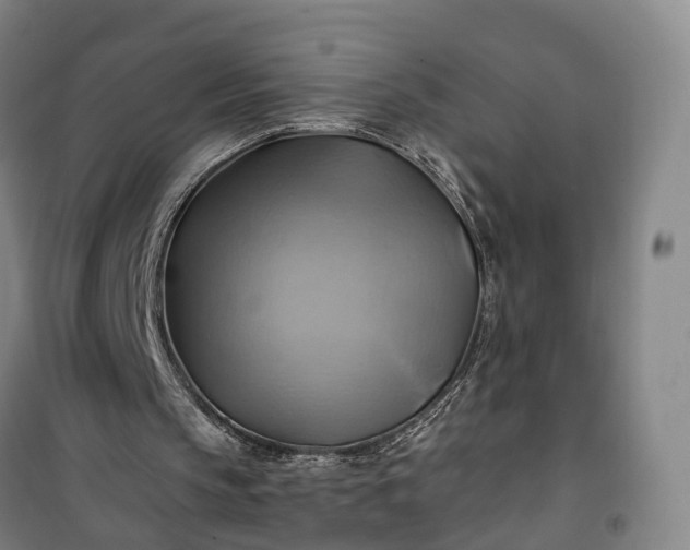 X0000101160145200807111037