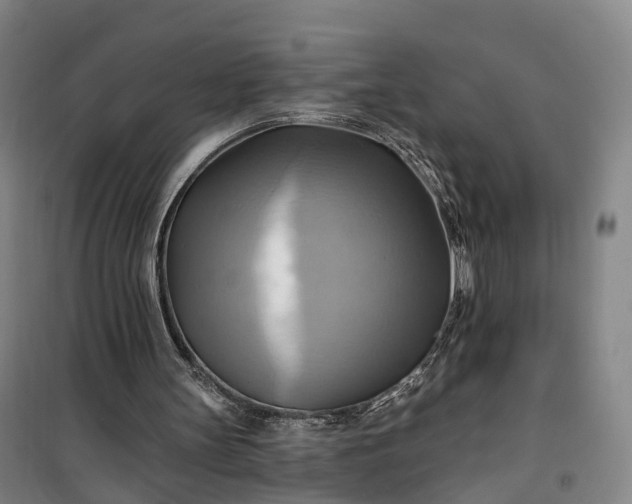 X0000101160147200807111037