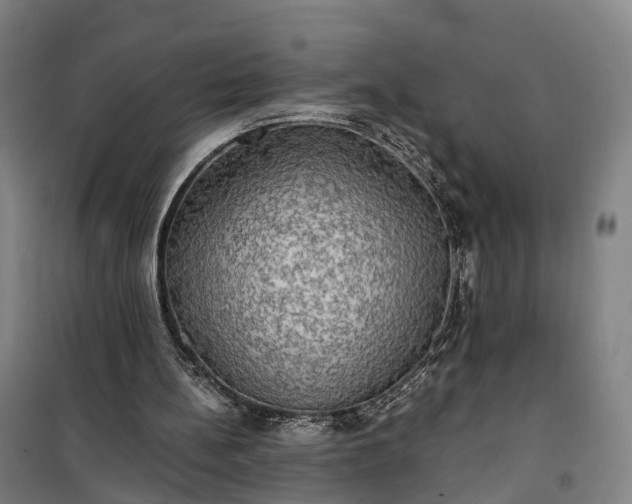 X0000101160148200807111037