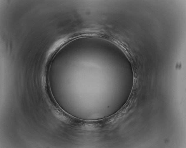 X0000101160149200807111037