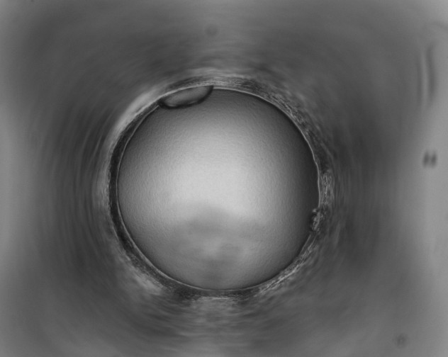 X0000101160150200807111037