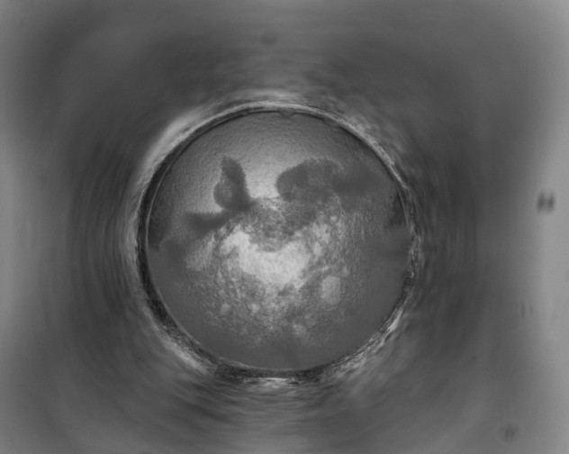 X0000101160151200807111037