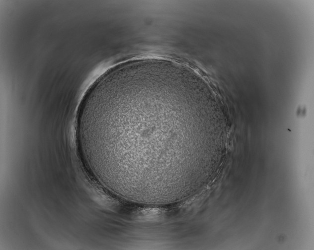 X0000101160152200807111037