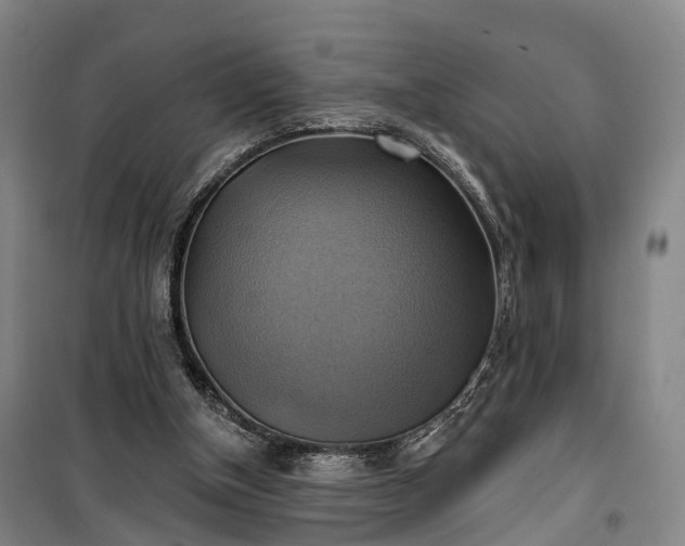 X0000101160154200807111037