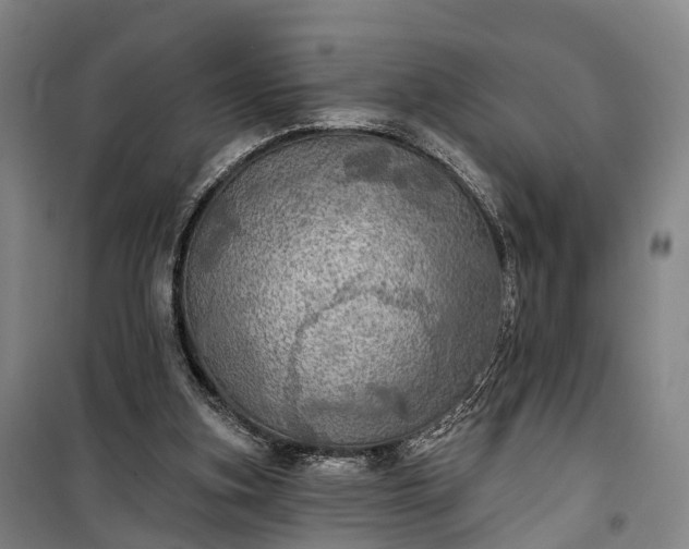 X0000101160155200807111037