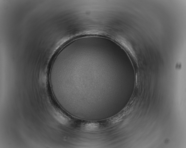 X0000101160156200807111037