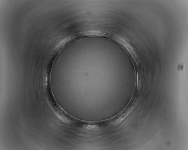 X0000101160157200807111037