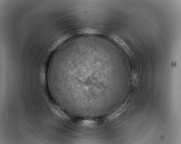 X0000101160158200807111037