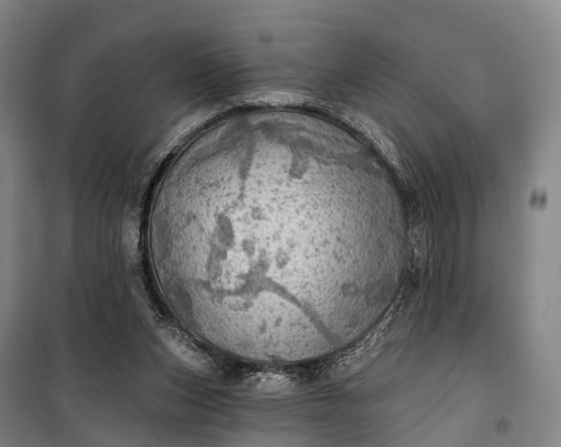 X0000101160159200807111037