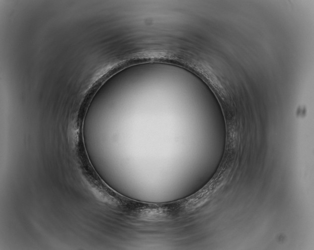 X0000101160160200807111037