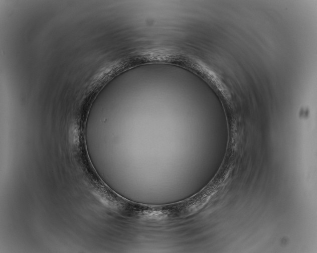 X0000101160161200807111037