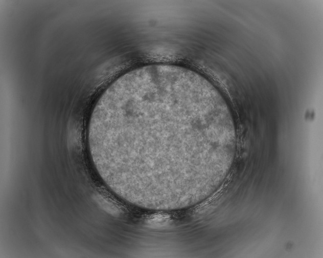 X0000101160162200807111037