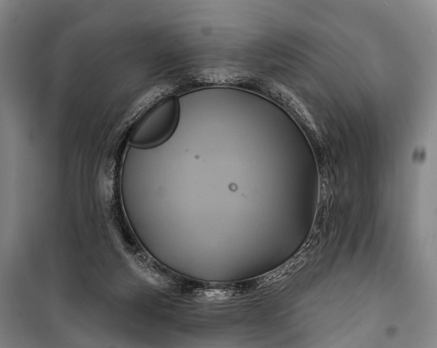 X0000101160163200807111037