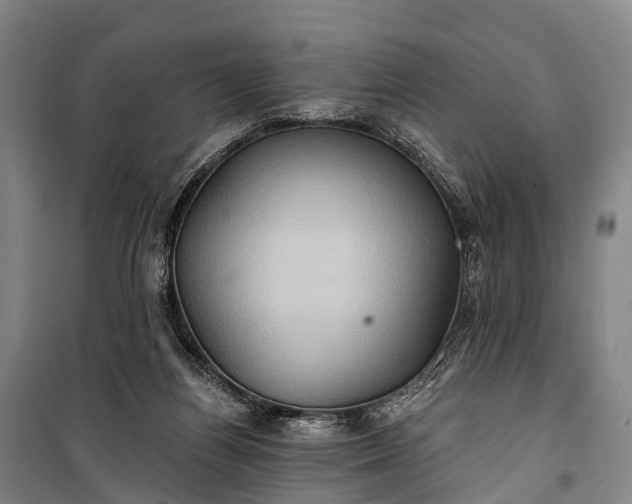 X0000101160164200807111037