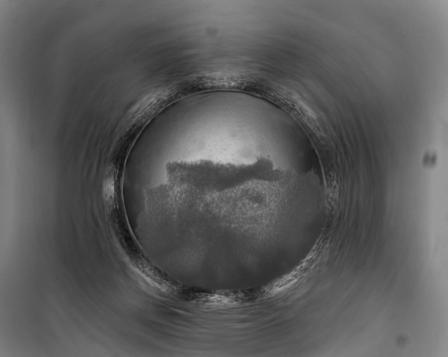 X0000101160166200807111037