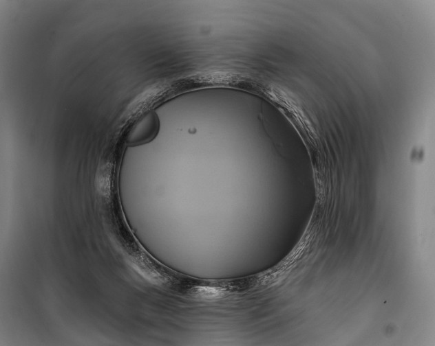 X0000101160167200807111037