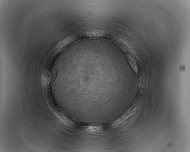 X0000101160168200807111037