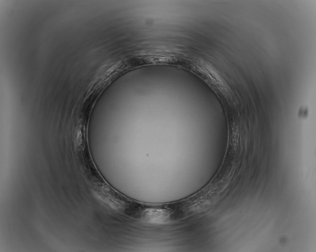 X0000101160169200807111037