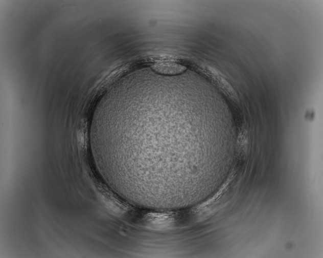 X0000101160170200807111037