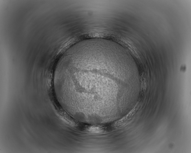 X0000101160171200807111037