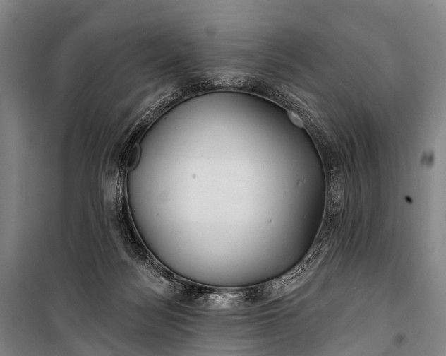 X0000101160172200807111037